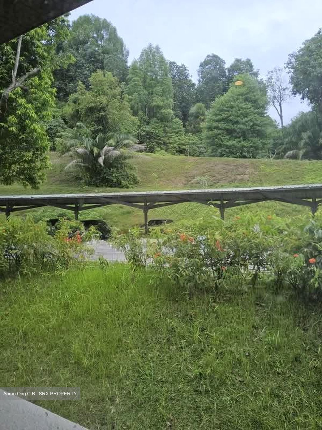 Clementi Park (D21), Condominium #574217901